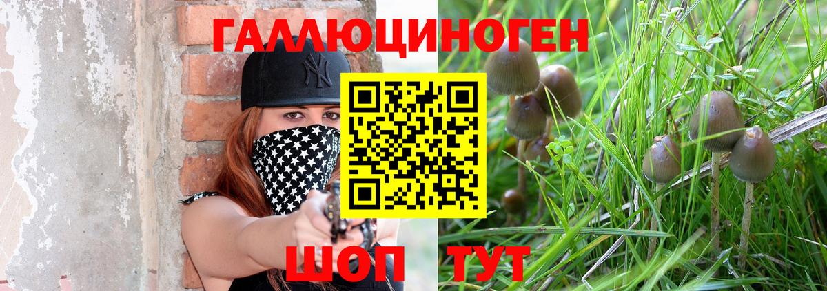 Кудрово  Галлюциногенные грибы GOLDEN TEACHER  Галлюциногенные грибы мухоморы  Вход с VPN 